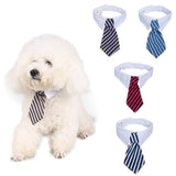 Fashion Windsor Ties for Pets