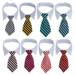 Fashion Windsor Ties for Pets