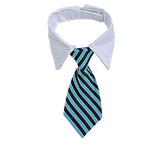 Fashion Windsor Ties for Pets