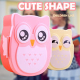 Cartoon Owl Lunch Box