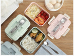 Microwave Pastel Lunch Box with Spoon