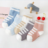 Character Multi Pack Baby Socks