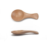 Short Handle Small Rice Spoon