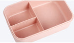 Microwave Pastel Lunch Box with Spoon