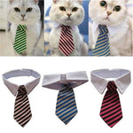 Fashion Windsor Ties for Pets