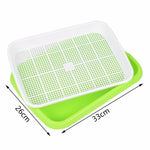 Hydroponic Seedling Tray