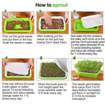 Hydroponic Seedling Tray